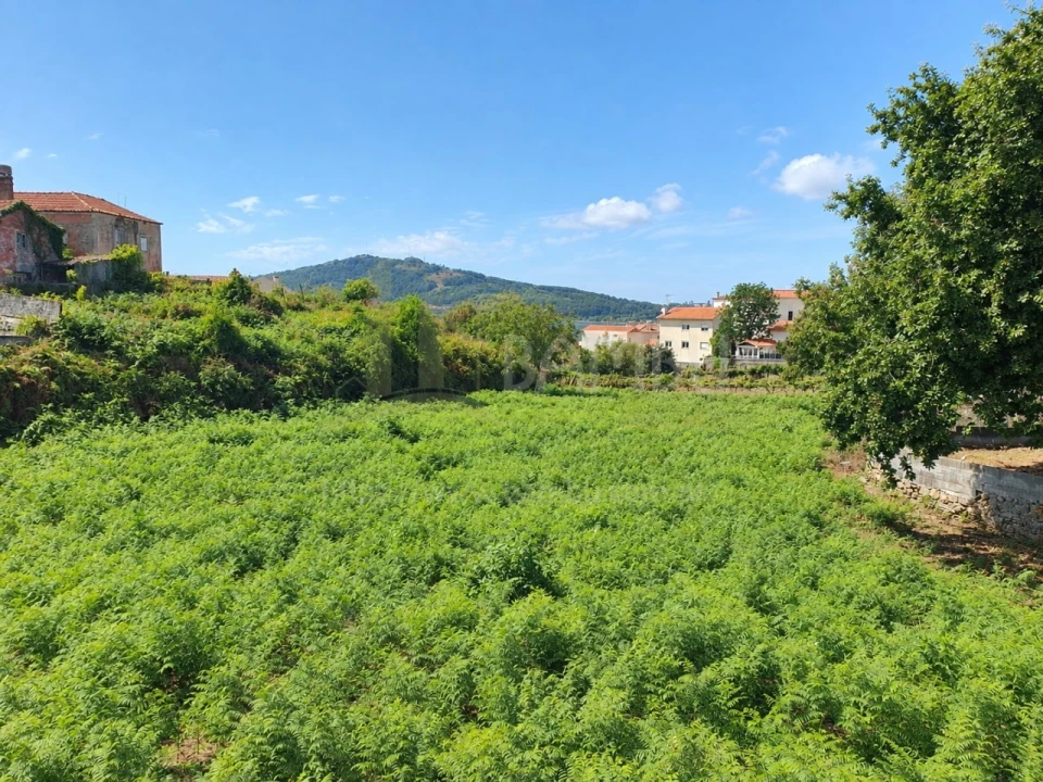Terreno para Venda em Seixas Foto 2