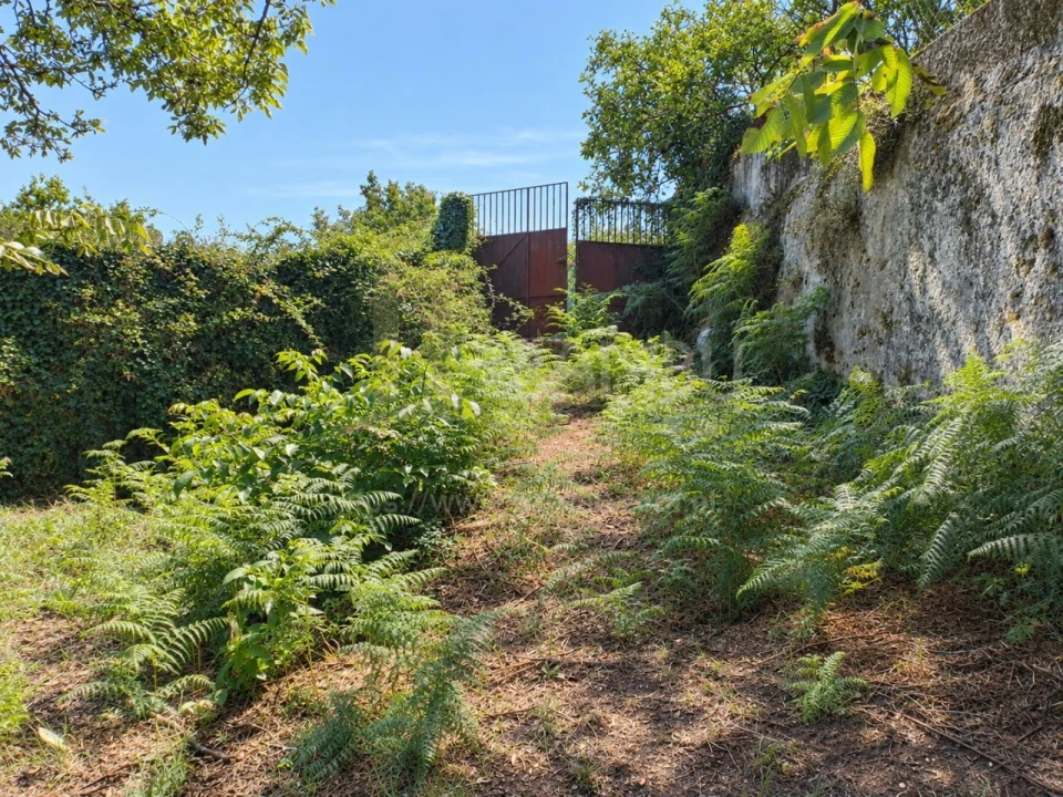 Terreno para Venda em Seixas Foto 3