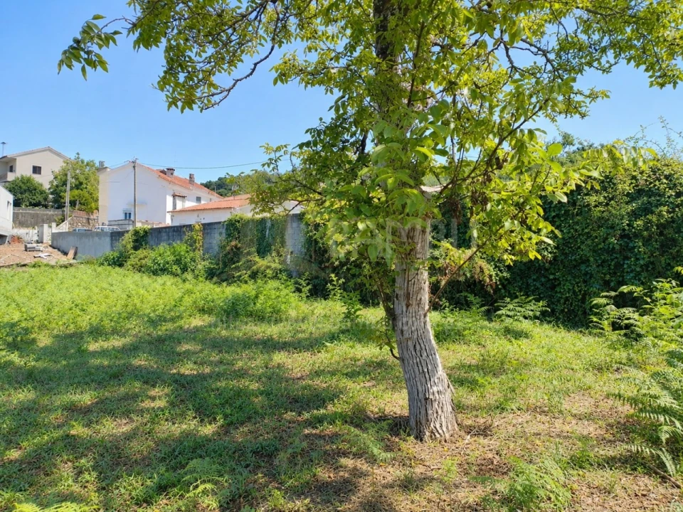 Terreno para Venda em Seixas Foto 4