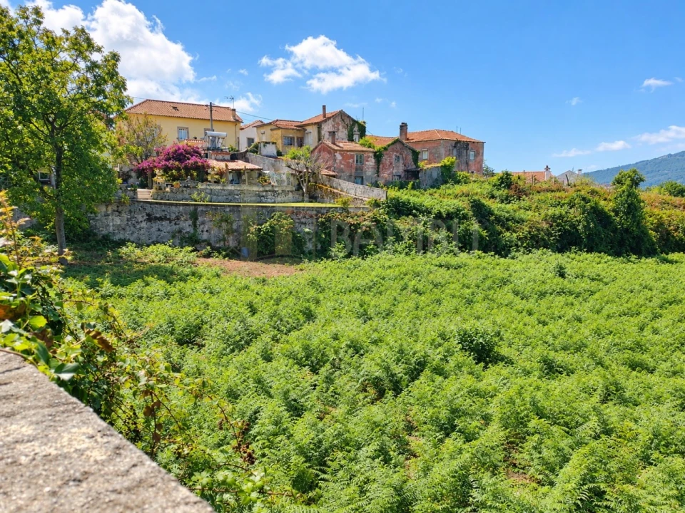 Terreno para Venda em Seixas Foto 5