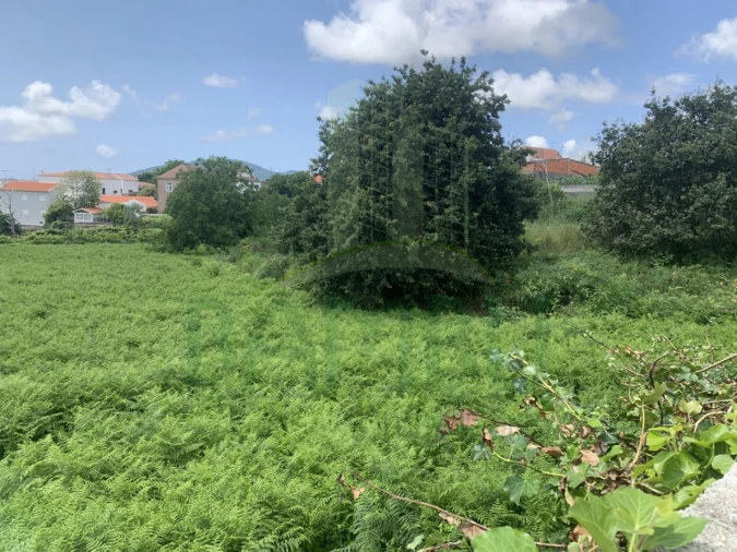 Terreno para Venda em Seixas Foto 2
