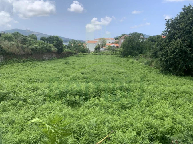 Terreno para Venda em Seixas Foto 3