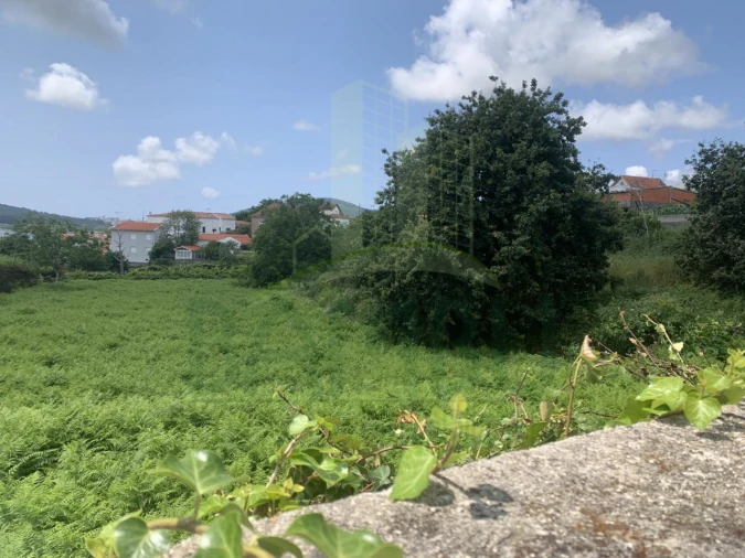 Terreno para Venda em Seixas Foto 5