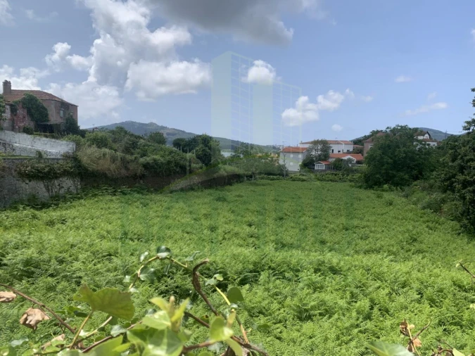 Terreno para Venda em Seixas Foto 8