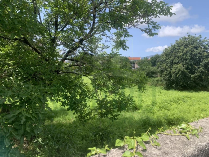 Terreno para Venda em Seixas Foto 9