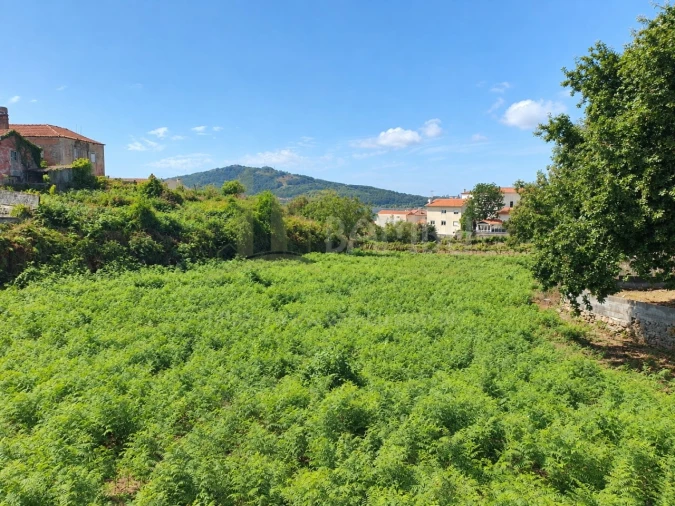 Terreno para Venda em Seixas Foto 2