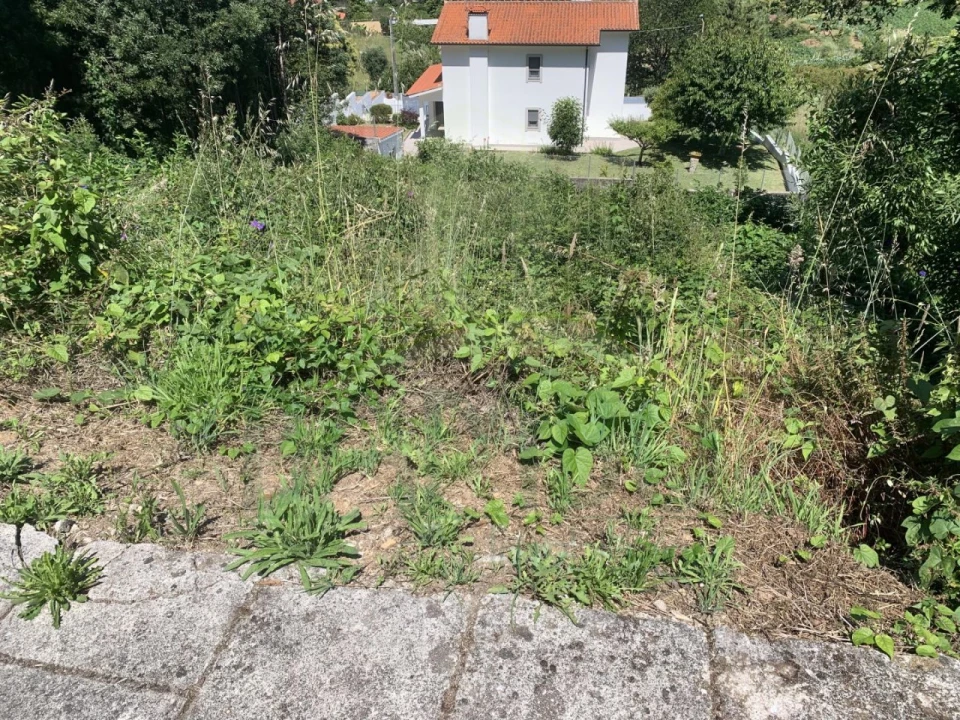 Terreno para Venda em Caminha (Matriz) e Vilarelho Foto 6