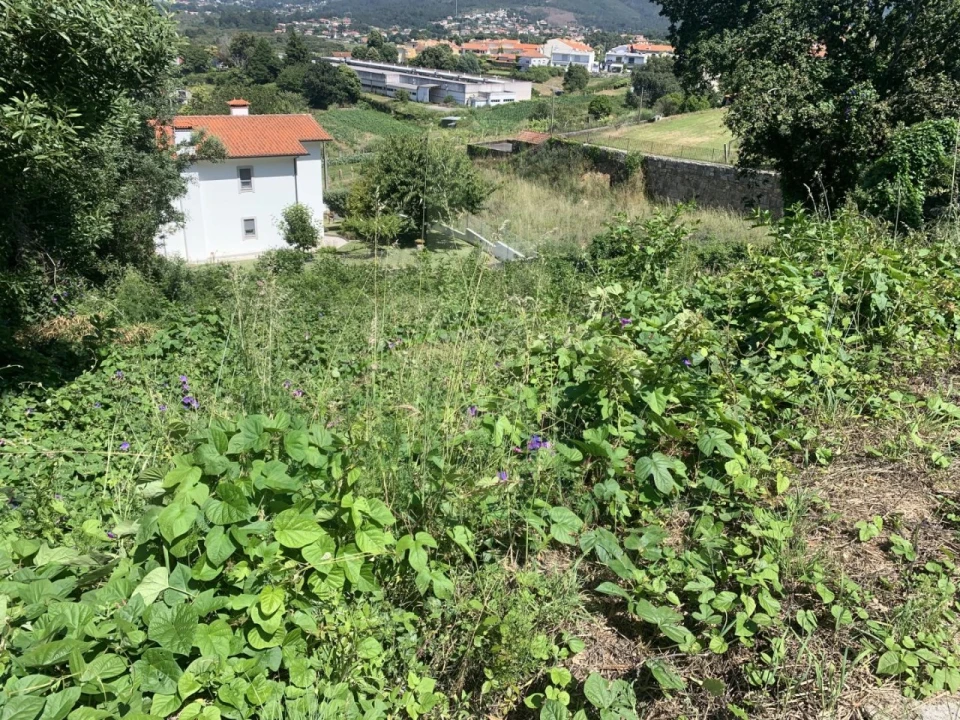 Terreno para Venda em Caminha (Matriz) e Vilarelho Foto 9