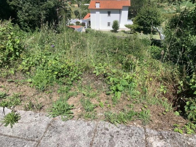 Terreno para Venda em Caminha (Matriz) e Vilarelho Foto 6
