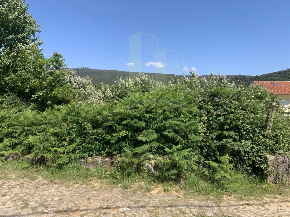 Terreno para Venda em Venade e Azevedo Foto 6