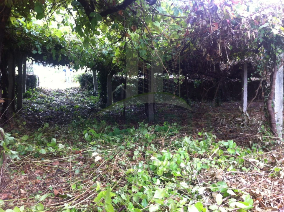 Terreno para Venda em Venade e Azevedo Foto 4