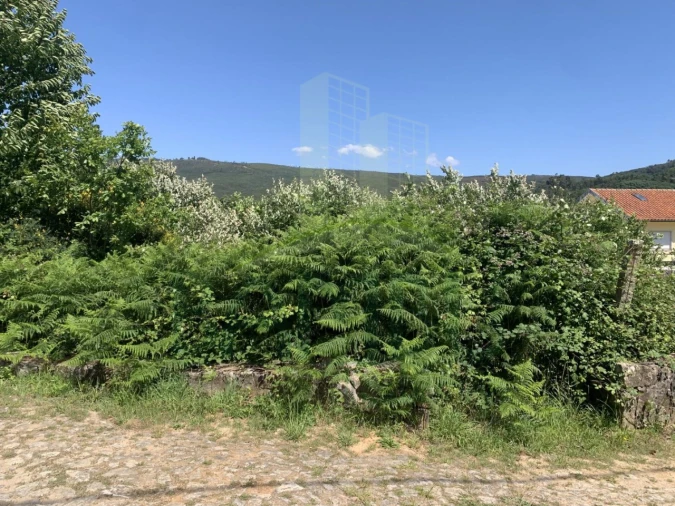 Terreno para Venda em Venade e Azevedo Foto 6