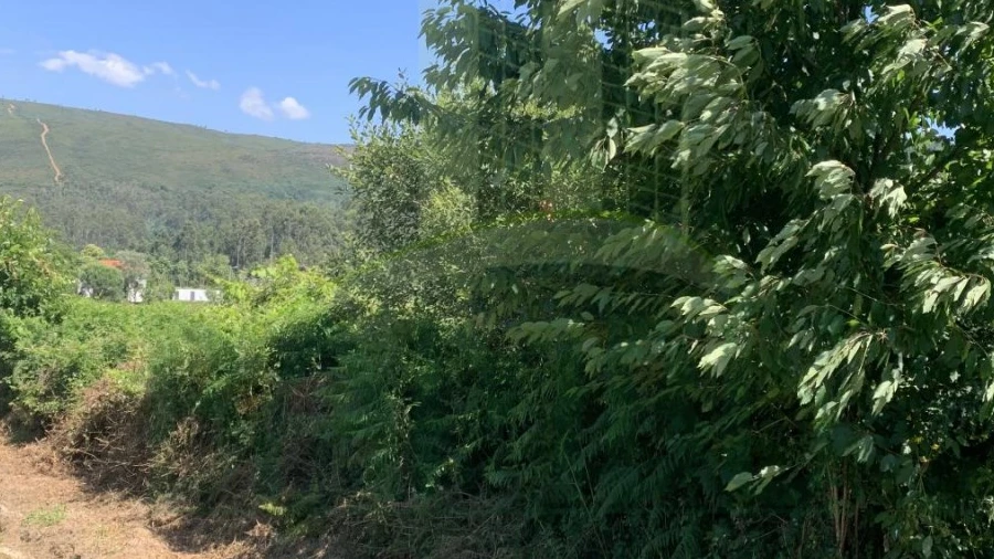 Terreno para Venda em Venade e Azevedo