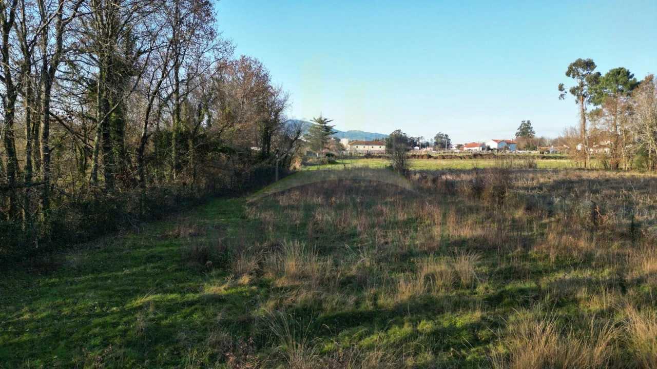Terreno para Venda em Gandra e Taião Foto 5