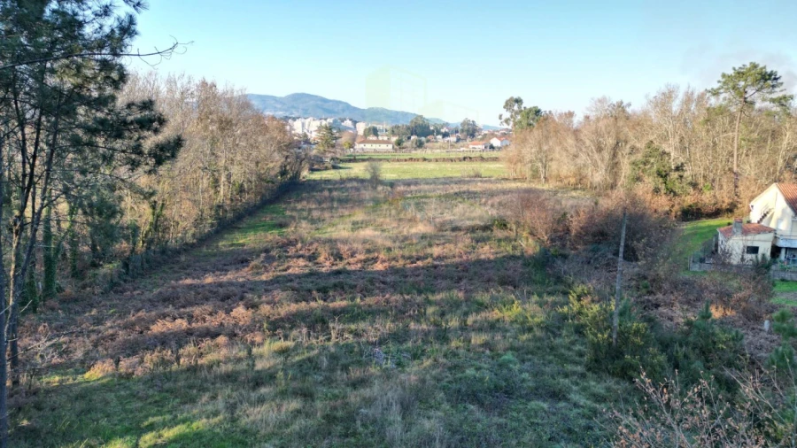 Terreno para Venda em Gandra e Taião Foto 2
