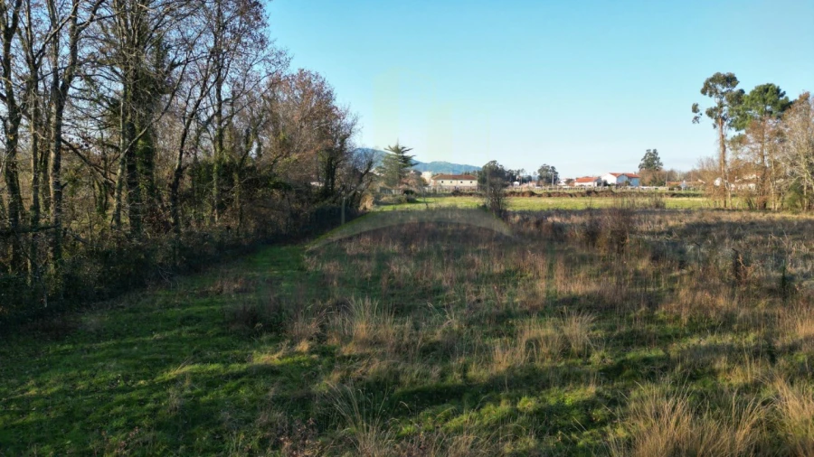 Terreno para Venda em Gandra e Taião Foto 5