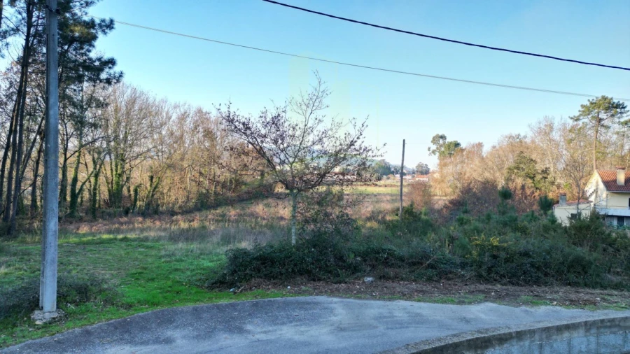 Terreno para Venda em Gandra e Taião Foto 6
