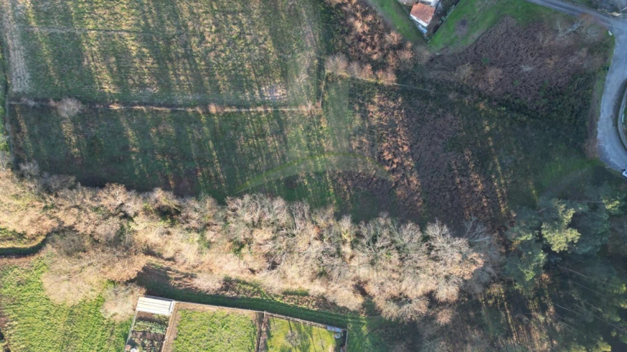 Terreno para Venda em Gandra e Taião Foto 7