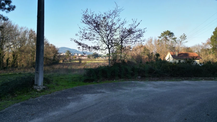 Terreno para Venda em Gandra e Taião Foto 8
