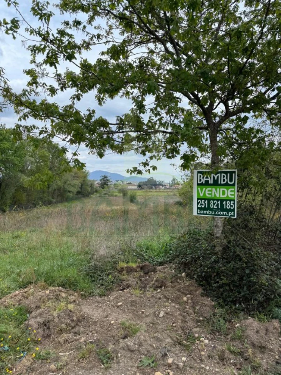 Terreno para Venda em Gandra e Taião Foto 1