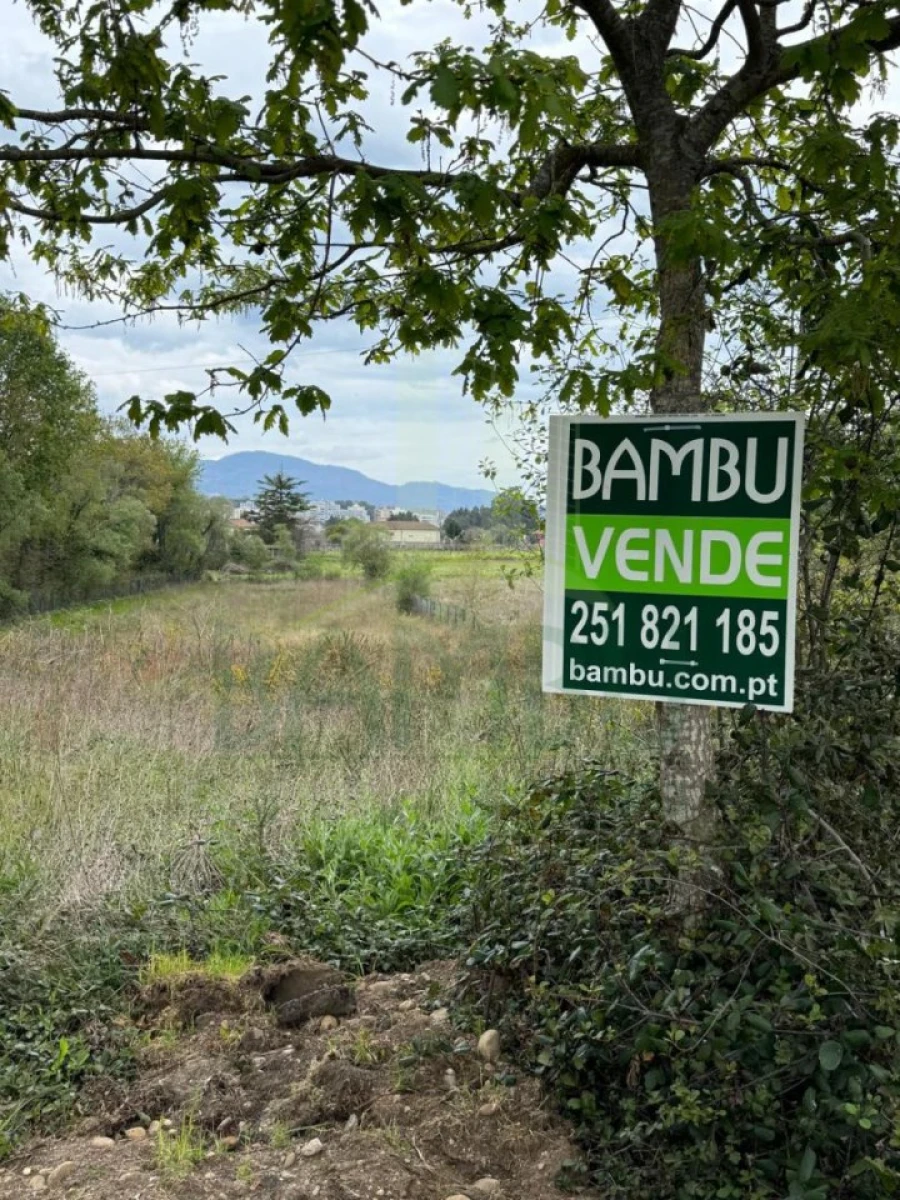 Terreno para Venda em Gandra e Taião Foto 11
