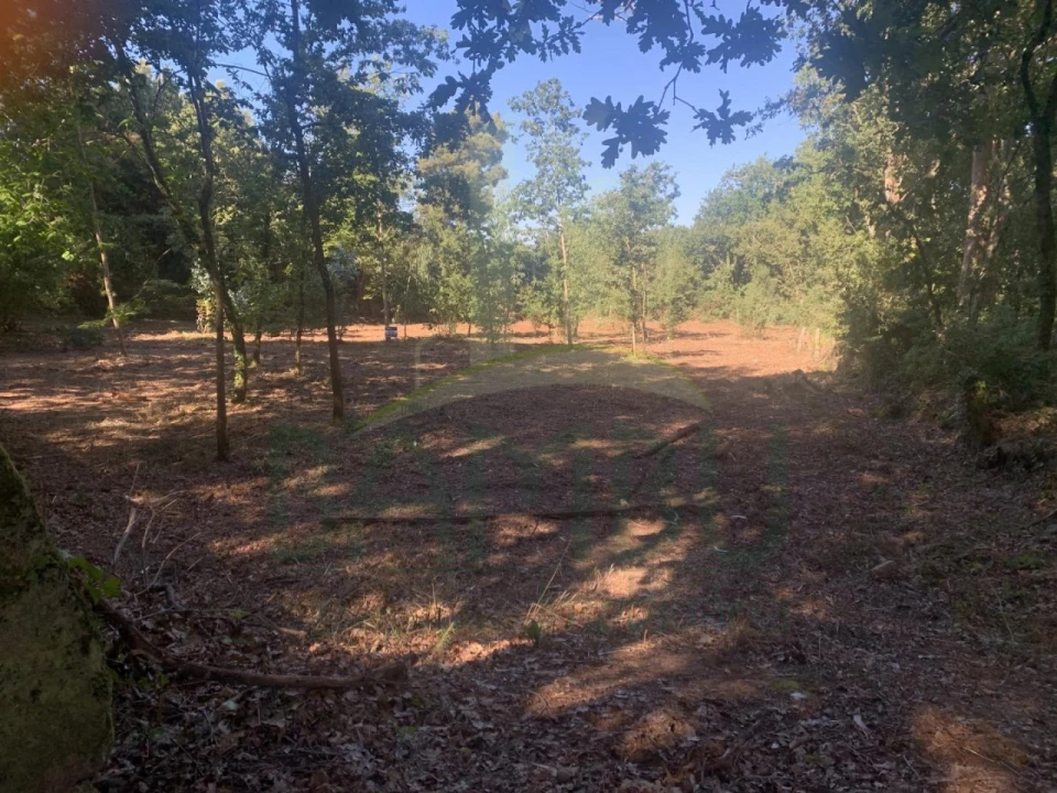 Terreno para Venda em Seixas Foto 3