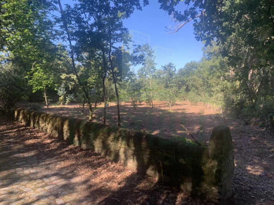 Terreno para Venda em Seixas Foto 9
