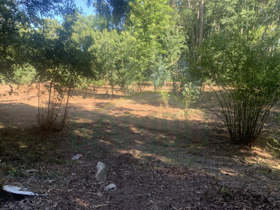 Terreno para Venda em Seixas Foto 4