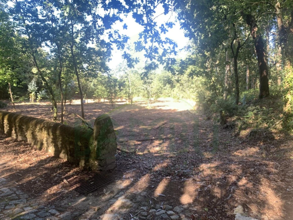 Terreno para Venda em Seixas Foto 8
