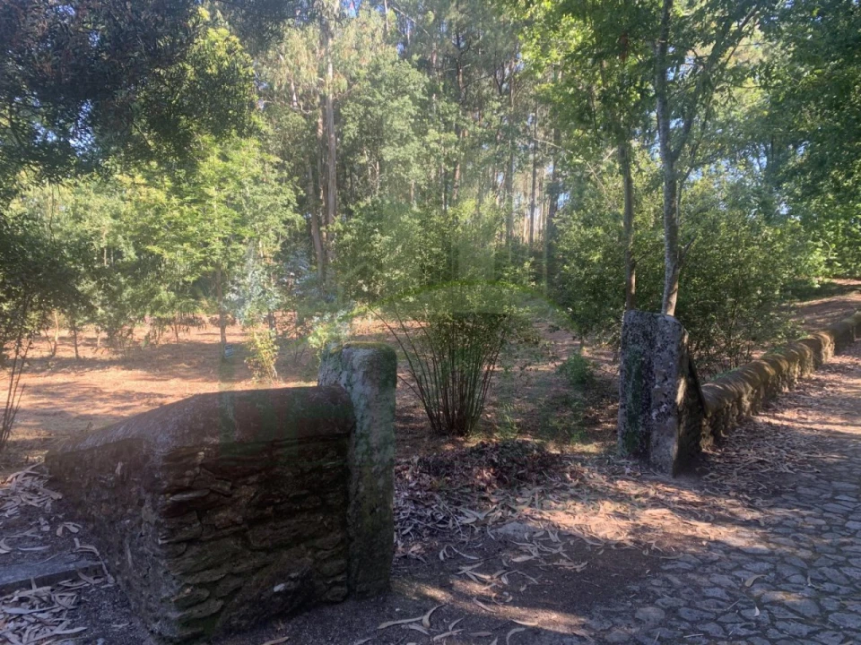 Terreno para Venda em Seixas Foto 2