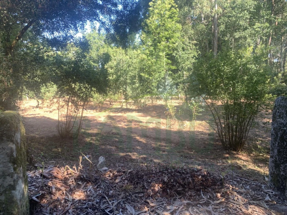 Terreno para Venda em Seixas Foto 7