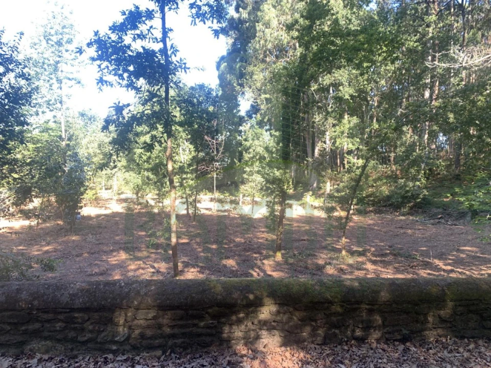 Terreno para Venda em Seixas Foto 6