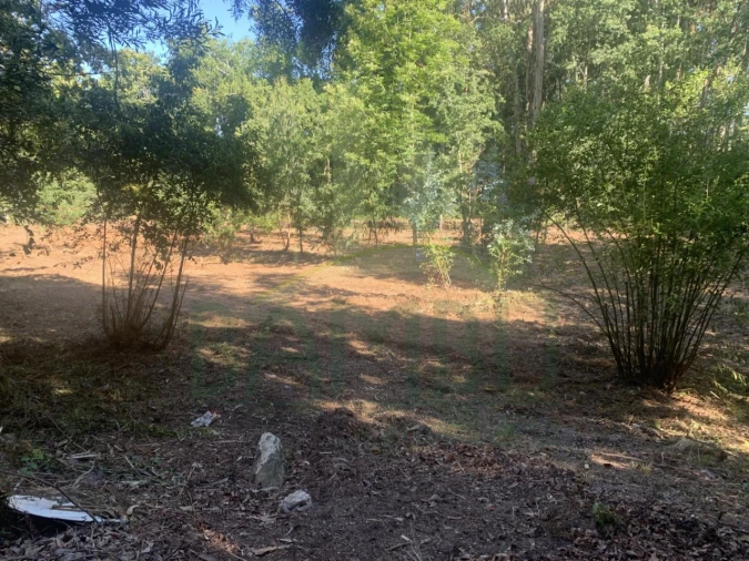 Terreno para Venda em Seixas Foto 4