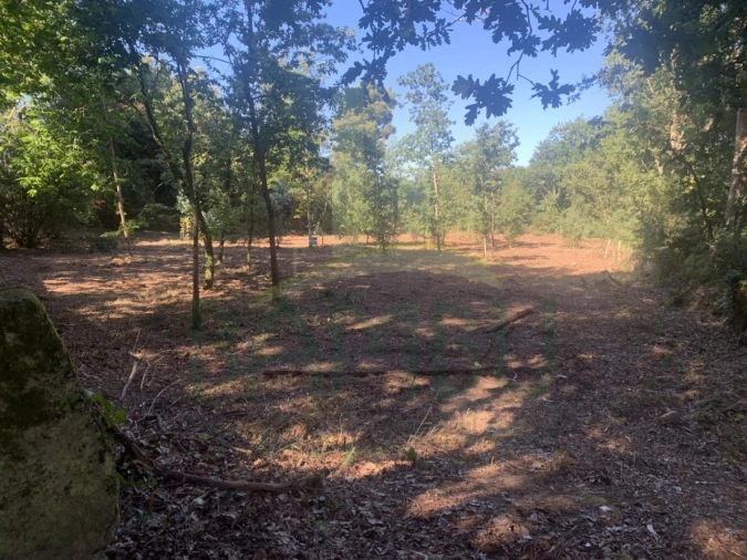 Terreno para Venda em Seixas Foto 5