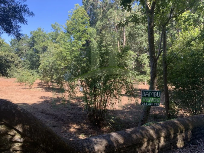 Terreno para Venda em Seixas Foto 1