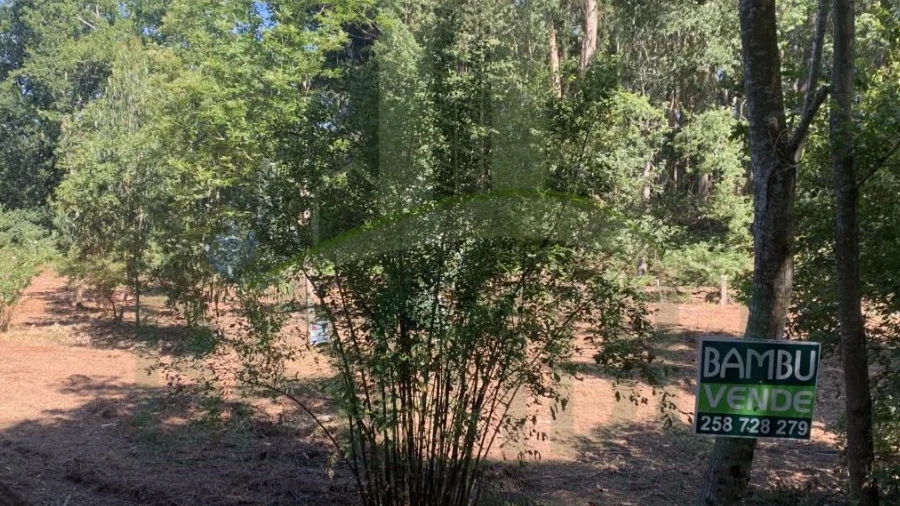 Terreno para Venda em Seixas