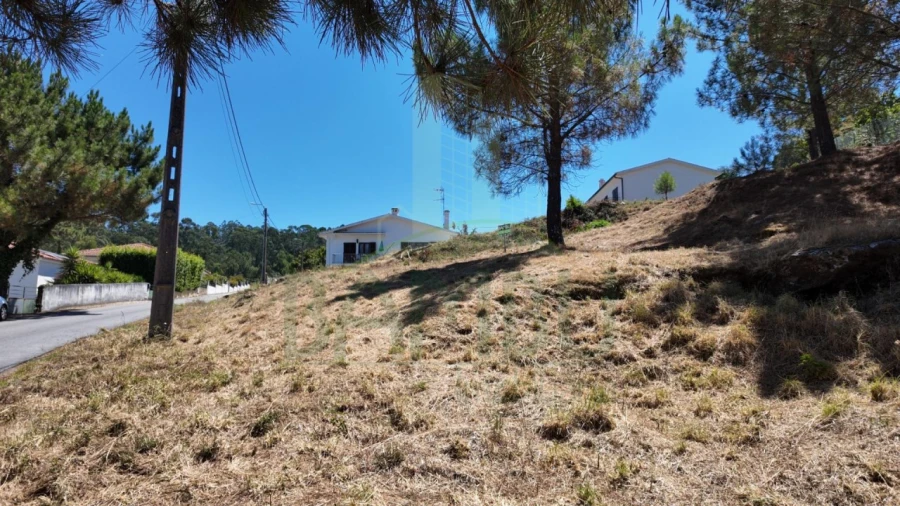 Terreno para Venda em Seixas Foto 12