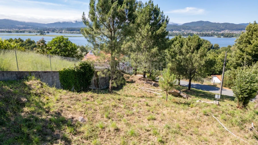 Terreno para Venda em Seixas Foto 4
