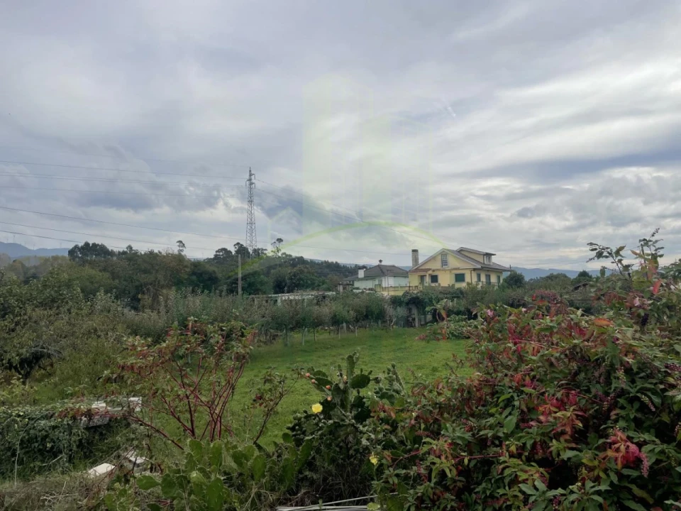 Terreno para Arrendamento em Gandra e Taião Foto 5