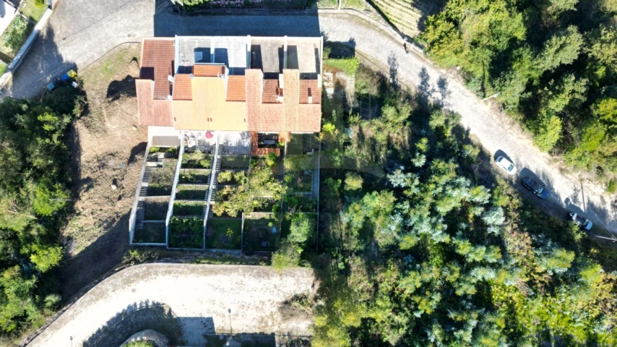 Terreno para Venda em Seixas Foto 5