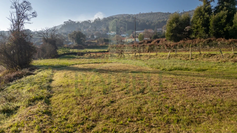 Terreno para Venda em Caminha (Matriz) e Vilarelho Foto 27