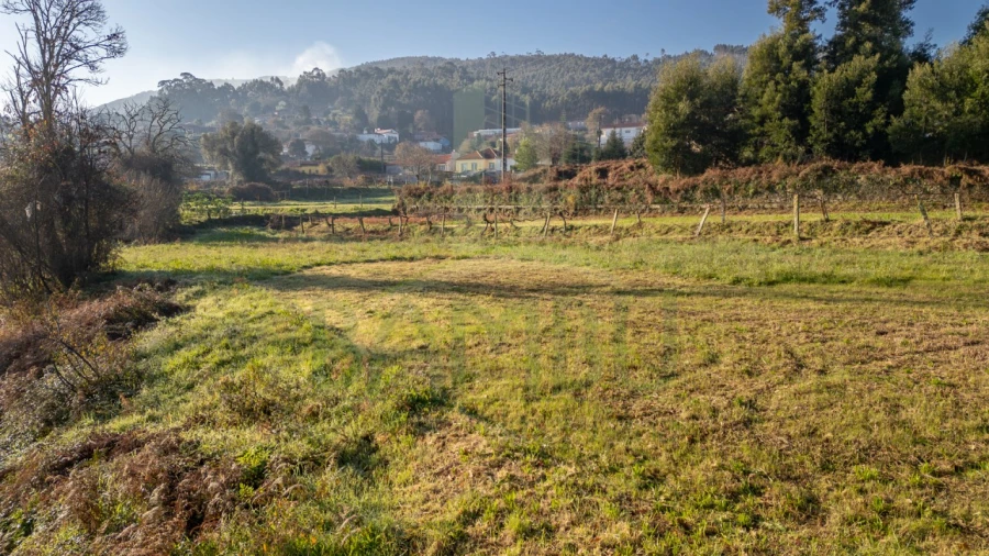 Terreno para Venda em Caminha (Matriz) e Vilarelho Foto 28