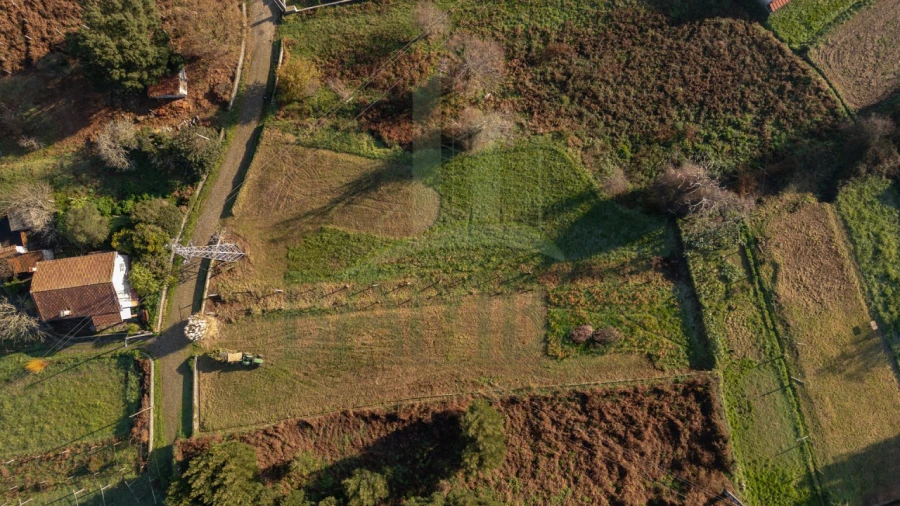 Terreno para Venda em Caminha (Matriz) e Vilarelho Foto 35