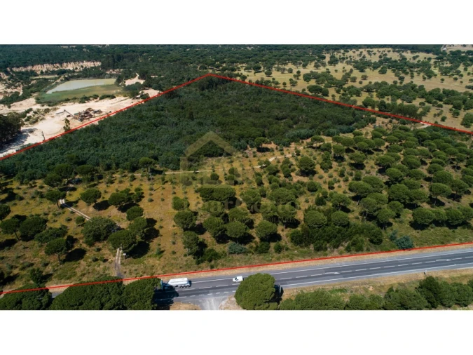 Terreno para Venda em Pegões Foto 2