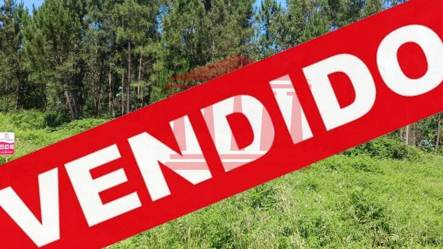 Terreno para Venda em Pousa