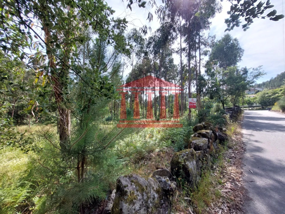 Terreno para Venda em Vila Cova e Feitos Foto 6