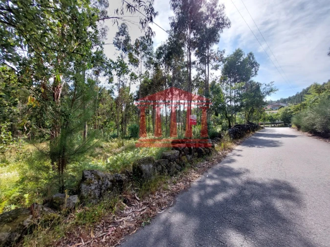 Terreno para Venda em Vila Cova e Feitos Foto 5