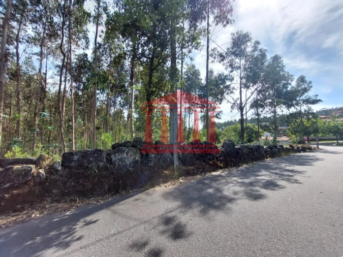 Terreno para Venda em Vila Cova e Feitos Foto 7