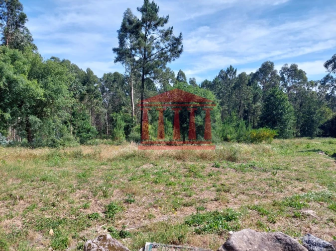 Terreno para Venda em Vila Cova e Feitos Foto 8