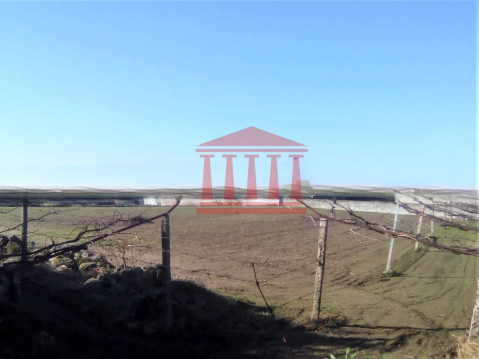 Terreno para Venda em Creixomil e Mariz Foto 3